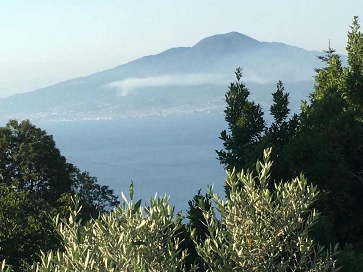 Villa Annabelle SantʼAgata sui Due Golfi Exteriér fotografie
